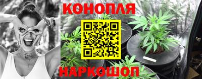 прущая мука Шебекино